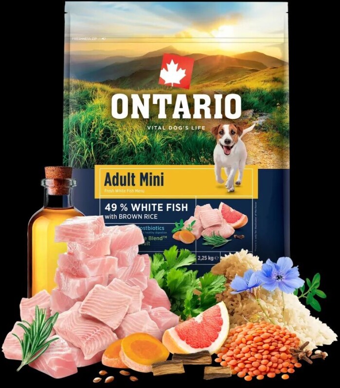 Ontario Adult Mini Fish & Brown Rice 2,25kg 